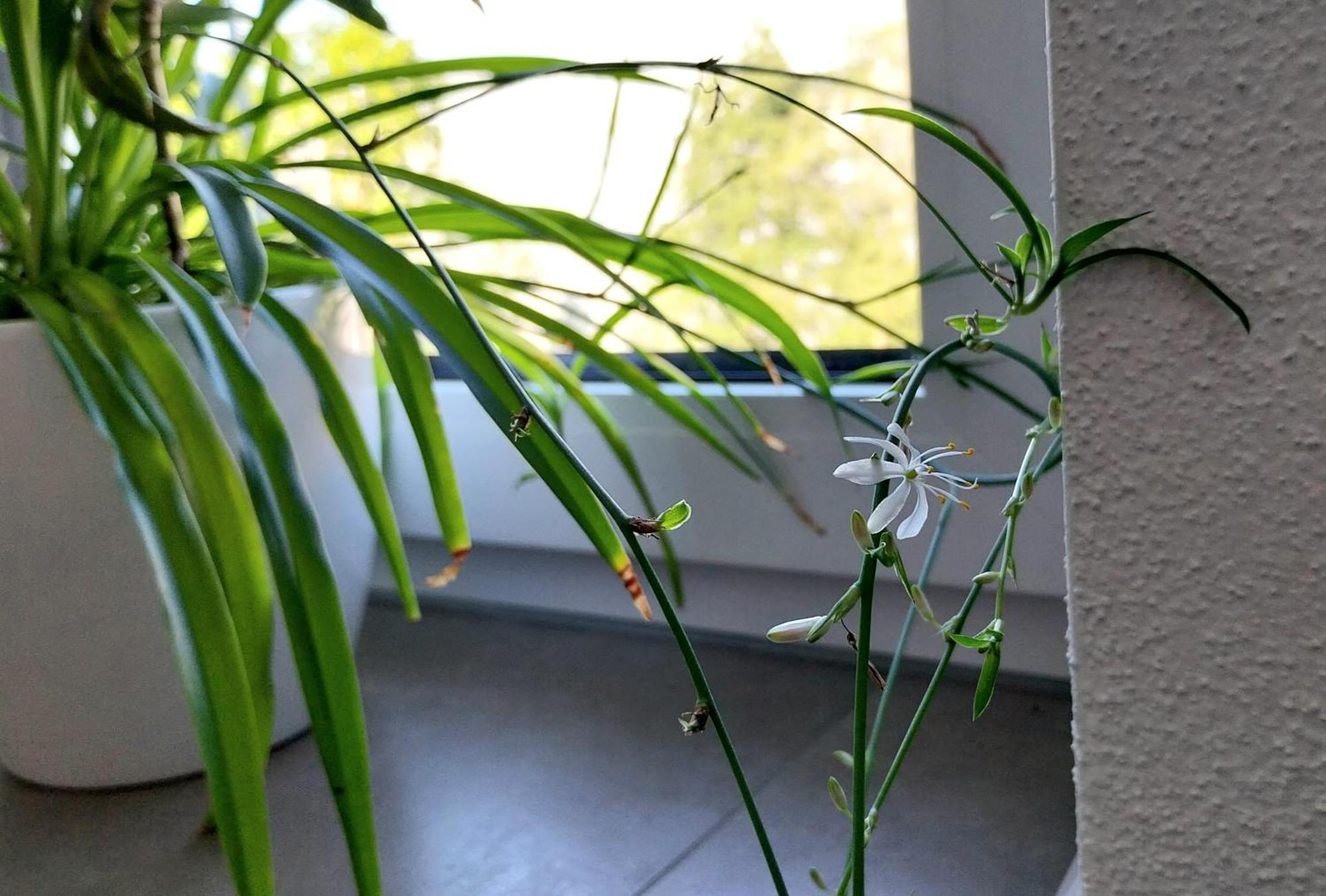 Kempten Mit Bauernhof-Flair Bagian luar foto