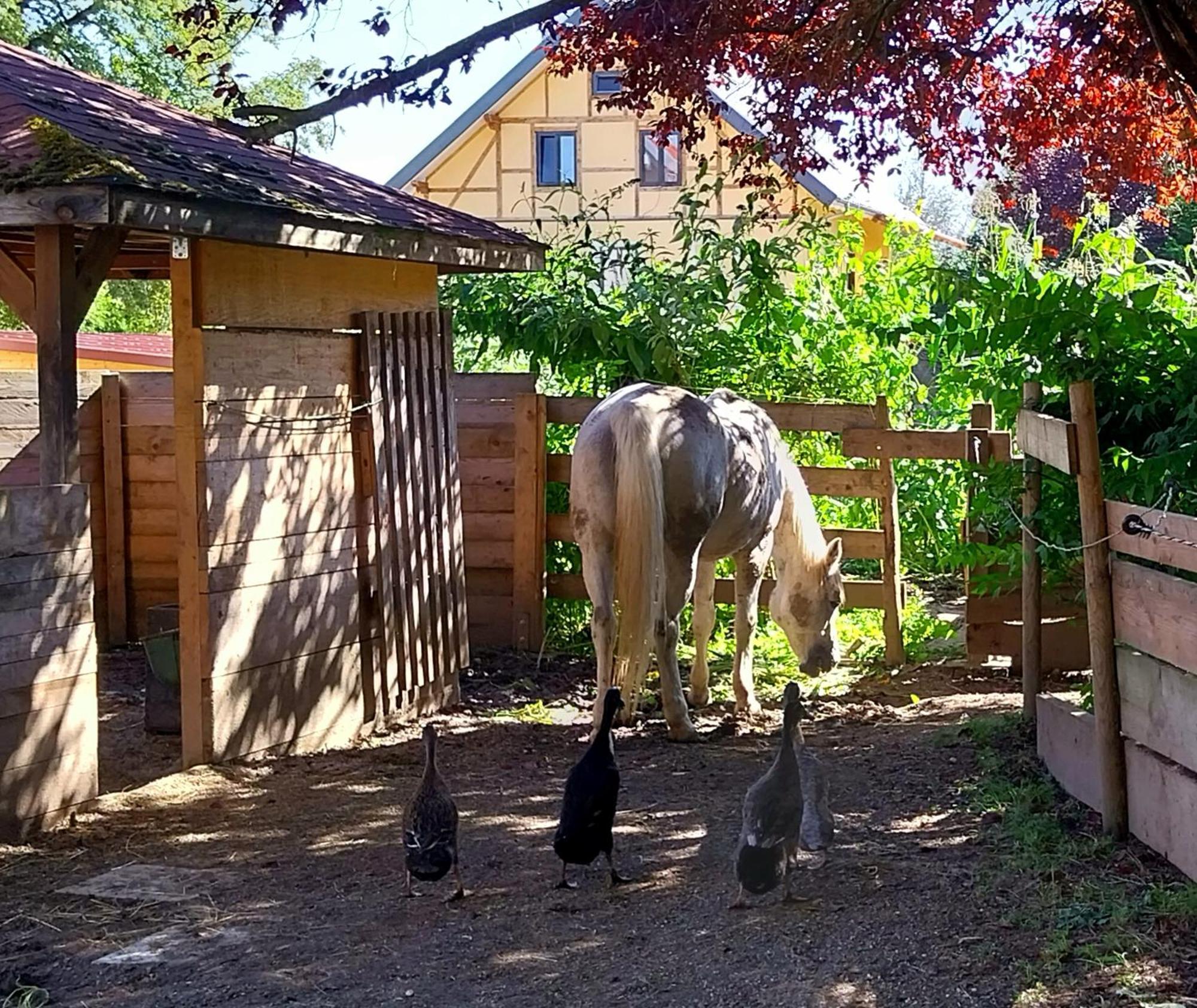 Kempten Mit Bauernhof-Flair Bagian luar foto