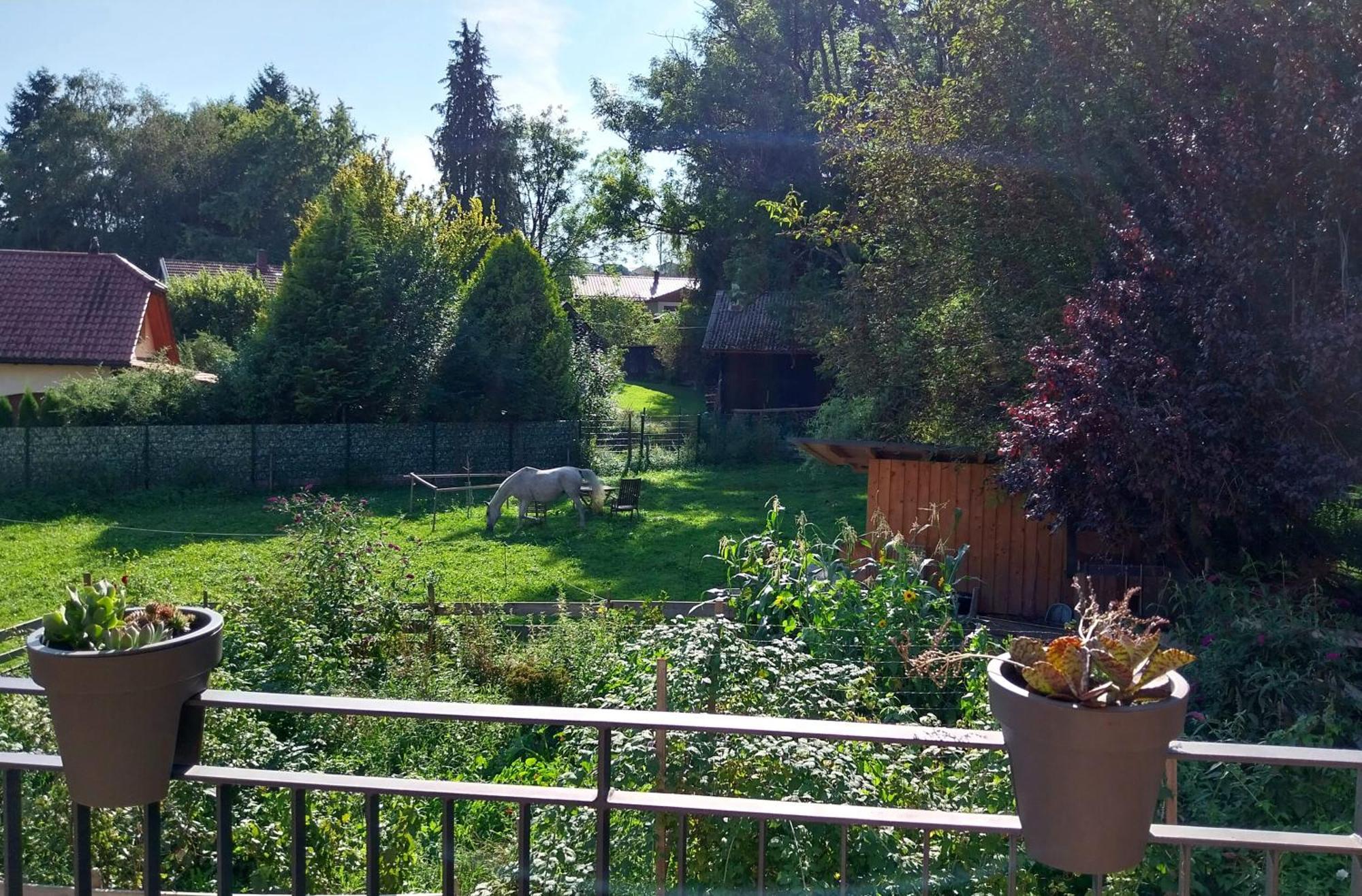 Kempten Mit Bauernhof-Flair Bagian luar foto